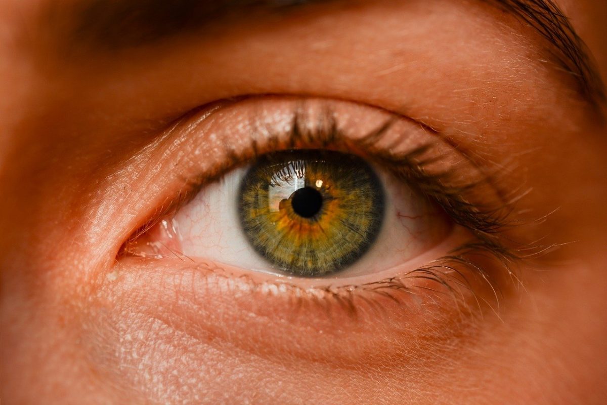 Oczy to niepowtarzalny organ. To otóż to dzięki nim widzimy.